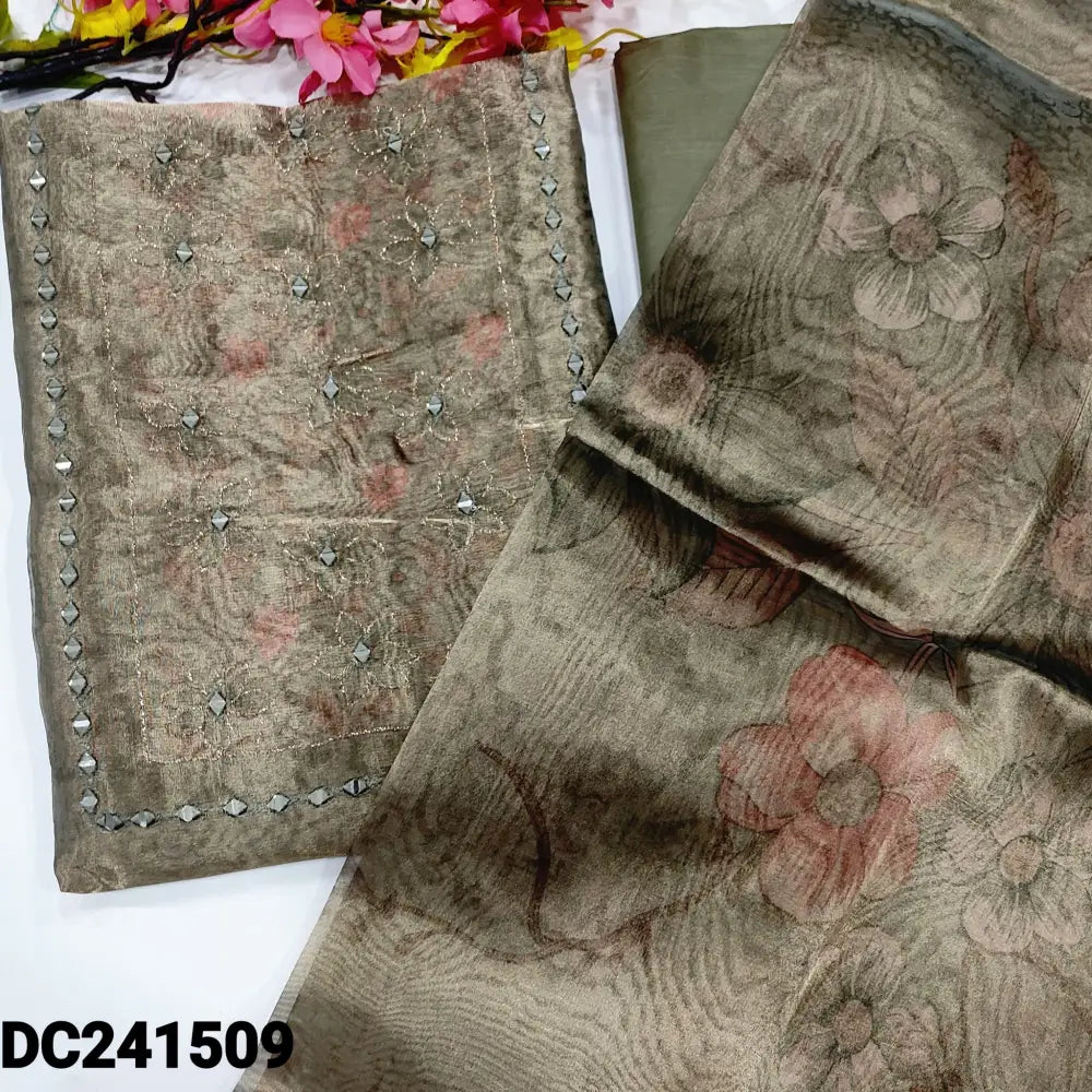 CODE DC241509: Light cement green with golden tint sobar digital printed fancy tissue silk cotton unstitched salwar