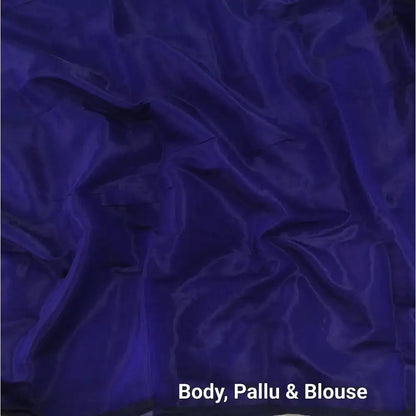 Blue tissue silk saree ns234-Neidhal