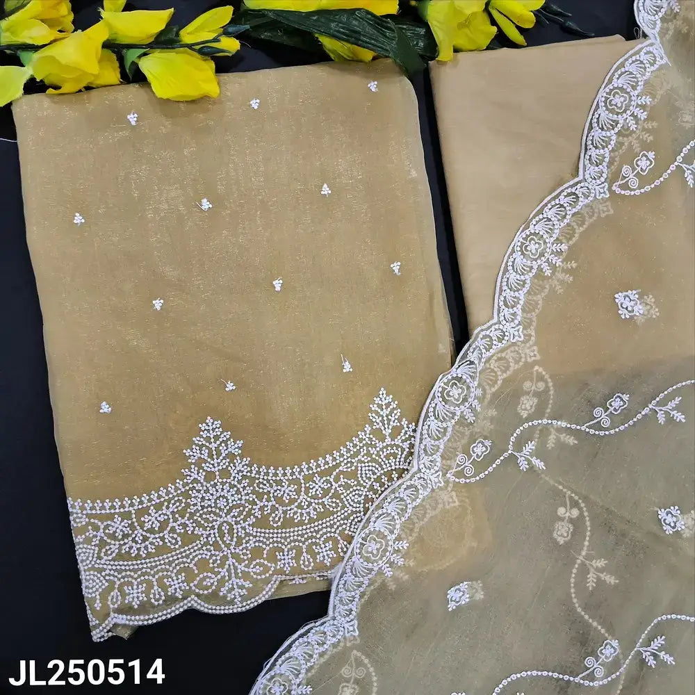 Golden beige jimmy choo salwar material jl250514-Neidhal