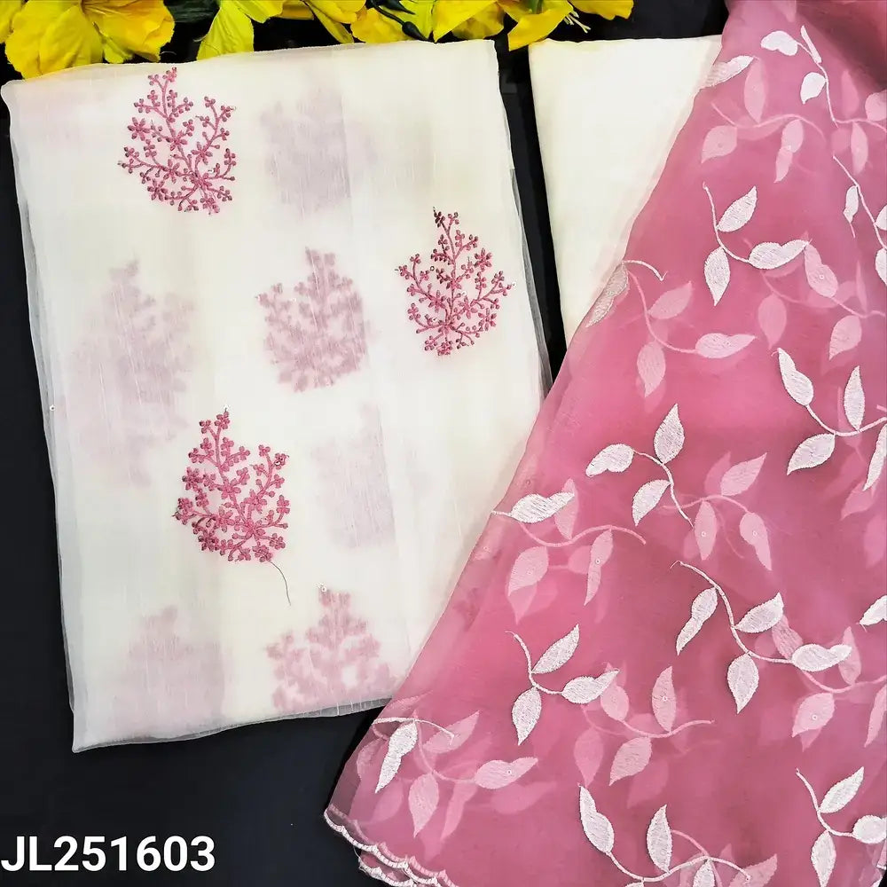 Half white chiffon organza salwar material jl251603-Neidhal