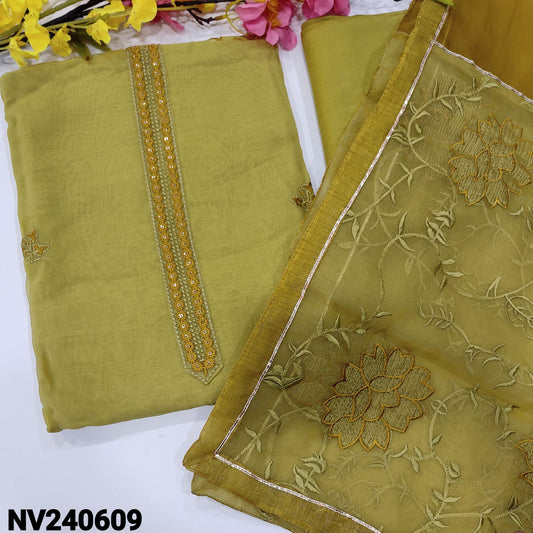 CODE NV240609 : Light green designer pure organza unstitched salwar material, thread& sequins on yoke, embroidered& cut work on front(thin fabric, lining needed)matching santoon bottom, embroidered dual shaded fancy organza dupatta.