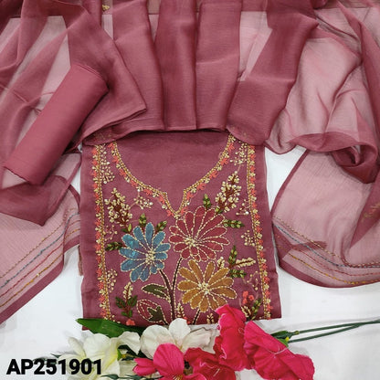 Onion pink tissue organza salwar material ap251901-Neidhal