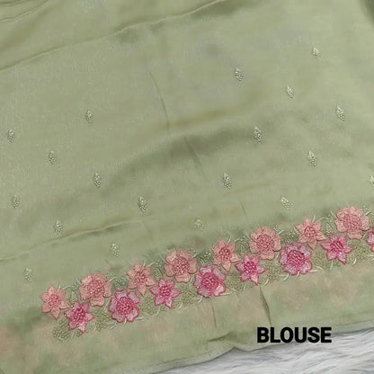Pastel green embroidered shimmer chiffon saree ns189-Neidhal