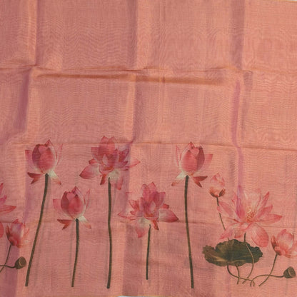 Pastel pink with golden tint tissue silk cotton saree(textured)with lotus digital prints all over,printed pallu,digital printed tissue silk cotton blouse with borders. NS268