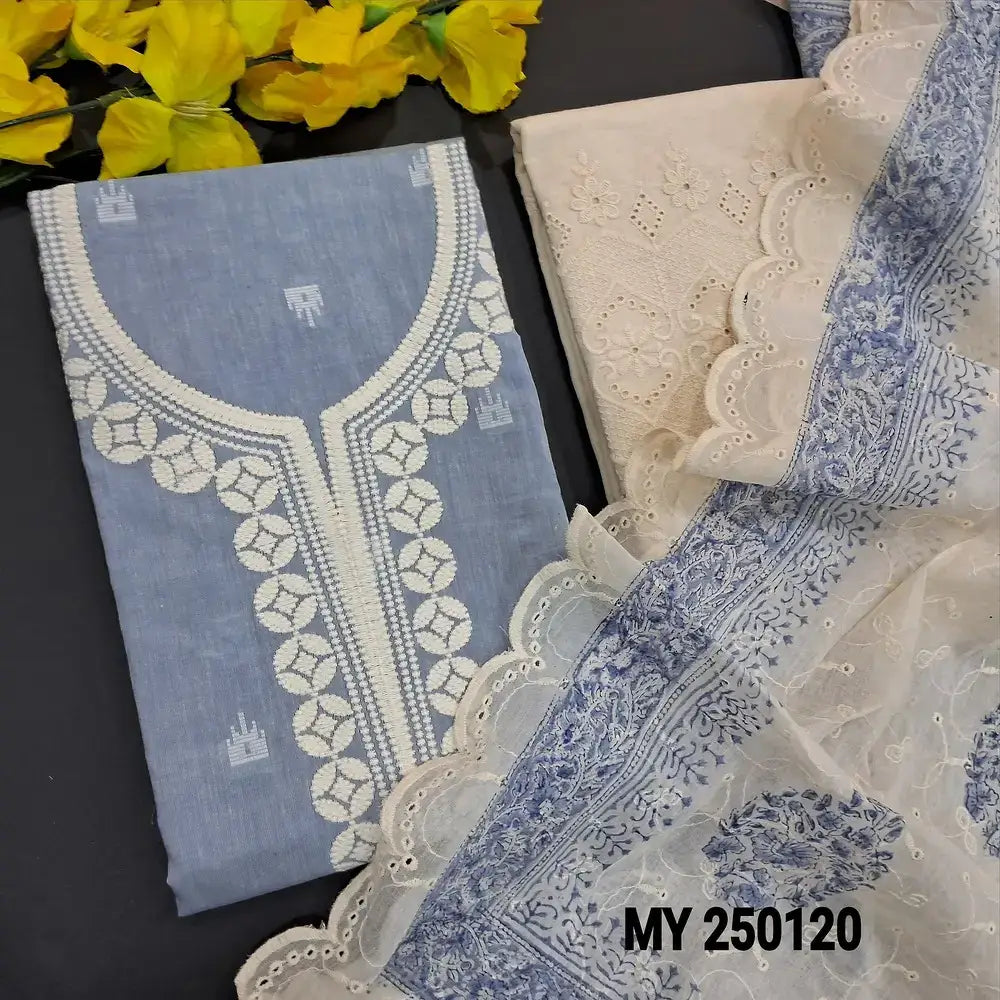 Powder blue handloom cotton salwar material my250120-Neidhal