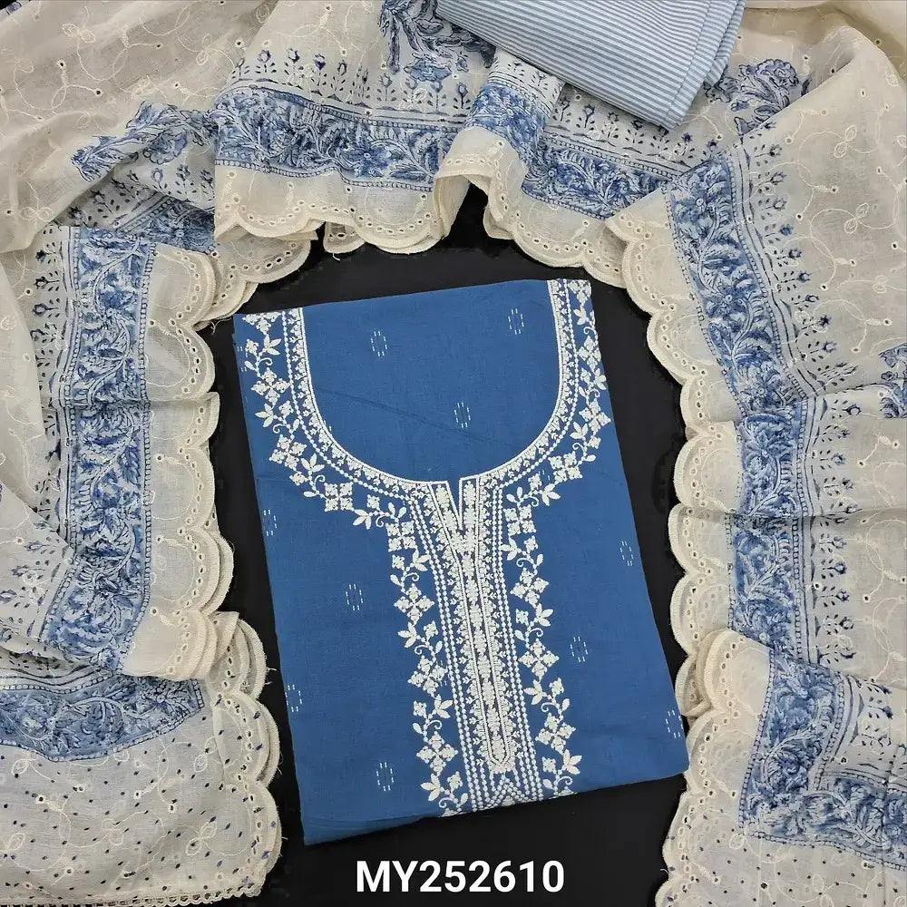 Powder blue handloom cotton salwar material my252610-Neidhal